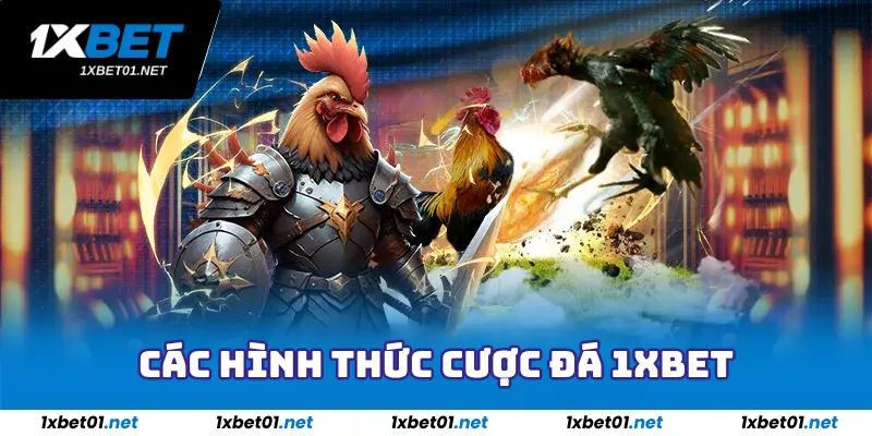 Đá Gà 1xBet - Sân Chơi Chiến Kê Cho Hội Viên Đam Mê Cược 3 Các hình thức cược đá 1xBet