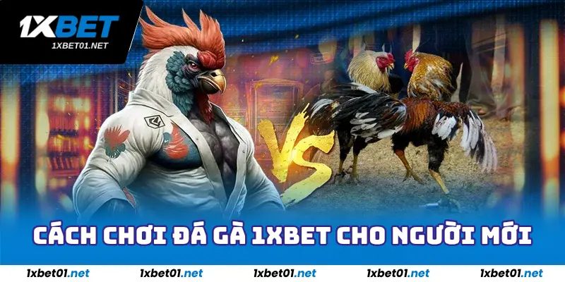Đá Gà 1xBet - Sân Chơi Chiến Kê Cho Hội Viên Đam Mê Cược 1 Cách chơi đá gà 1xBet cho người mới