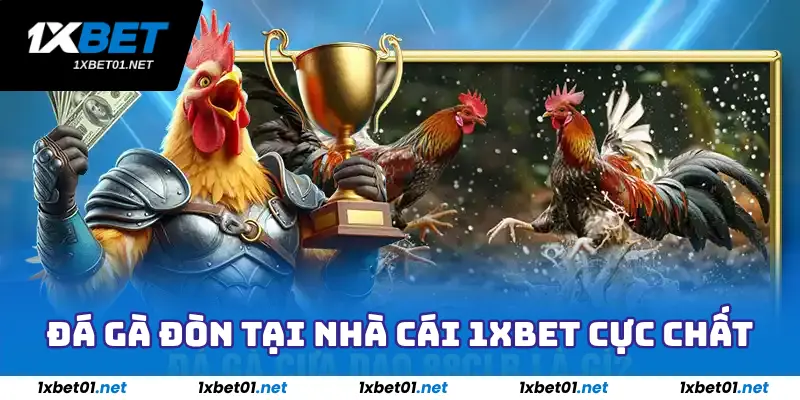 Đá Gà Đòn - Sảnh Game Đá Gà Hấp Dẫn Nhất Tại 1Xbet 2025 4 Đá gà đòn tại nhà cái 1xbet cực chất