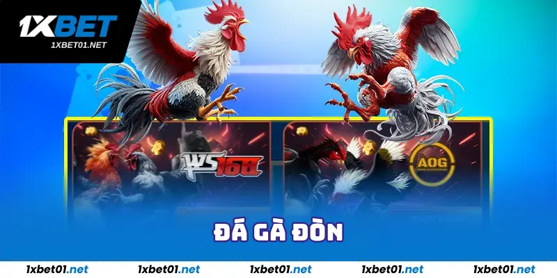 Đá Gà Đòn - Sảnh Game Đá Gà Hấp Dẫn Nhất Tại 1Xbet 2025 5 Đá Gà Đòn - Sảnh Game Đá Gà Hấp Dẫn Nhất Tại 1Xbet 2025