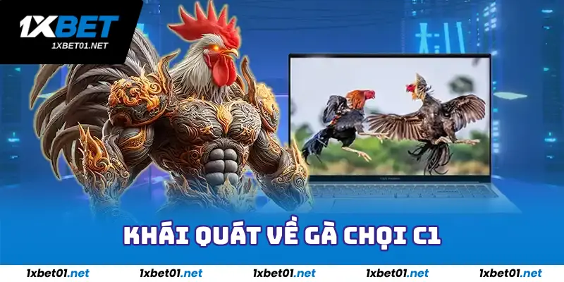 Gà Chọi C1 - Tìm Hiểu Ngay Về Trò Chơi Gà Chọi Hot Hit Ngay 2 Khái Quát Về Gà Chọi C1