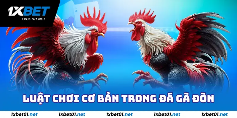 Đá Gà Đòn - Sảnh Game Đá Gà Hấp Dẫn Nhất Tại 1Xbet 2025 3 Luật chơi cơ bản trong đá gà đòn