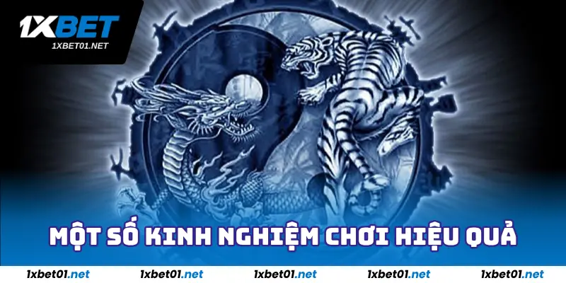 Cách Chơi Rồng Hổ - Bí Kíp Thắng Lớn Từ Cao Thủ Tại 1xbet 4 Một số kinh nghiệm chơi Rồng Hổ hiệu quả